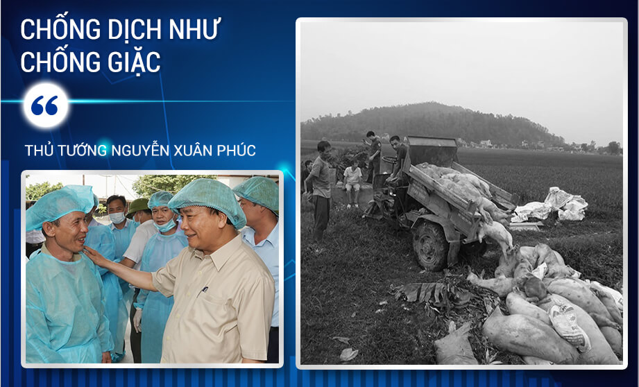 Dấu ấn kinh tế 2019