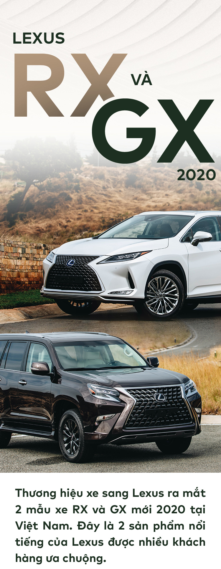 lexus
