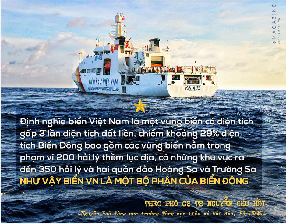 GS TS Nguyễn Chu Hồi